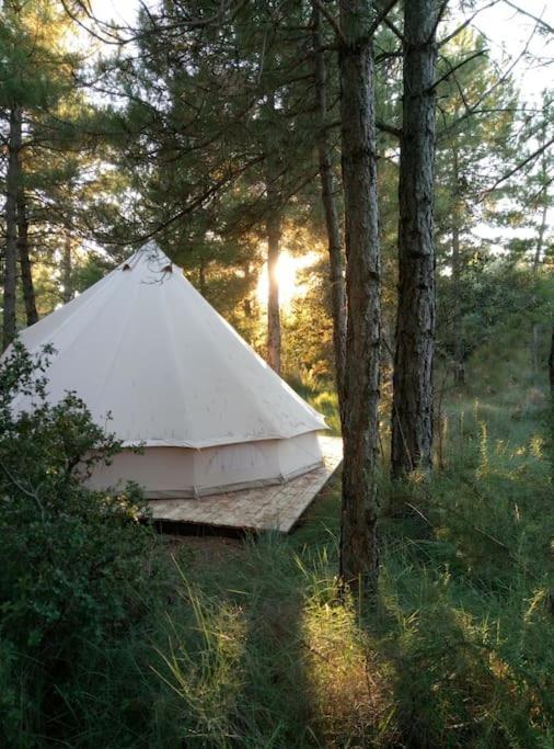 Forest Days Naves  Экстерьер фото