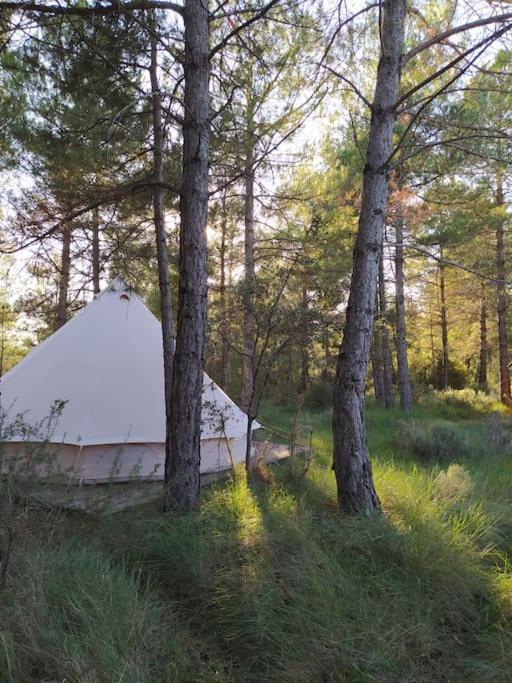 Forest Days Naves  Экстерьер фото