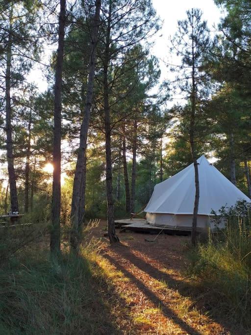Forest Days Naves  Экстерьер фото