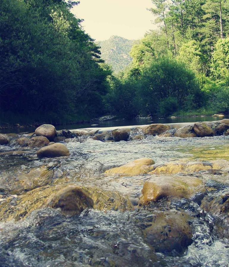 Forest Days Naves  Экстерьер фото